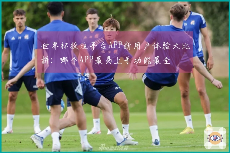 世界杯投注平台APP新用户体验大比拼：哪个APP最易上手功能最全