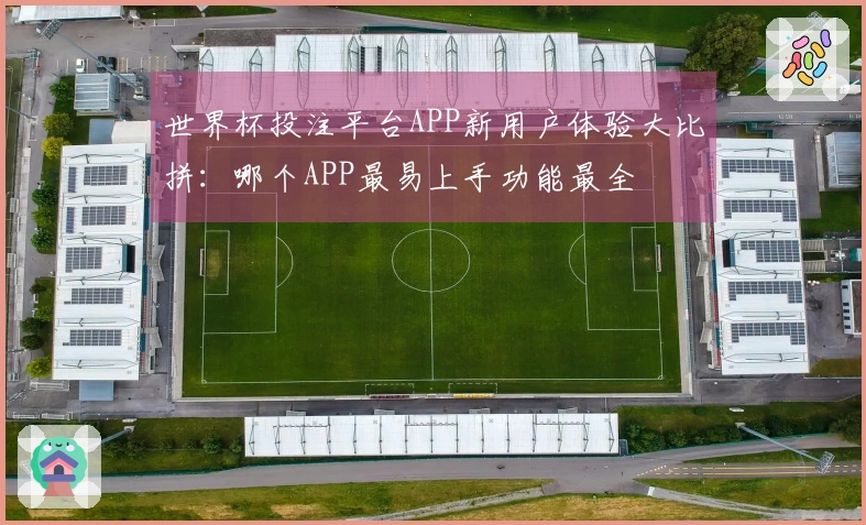 世界杯投注平台APP新用户体验大比拼：哪个APP最易上手功能最全