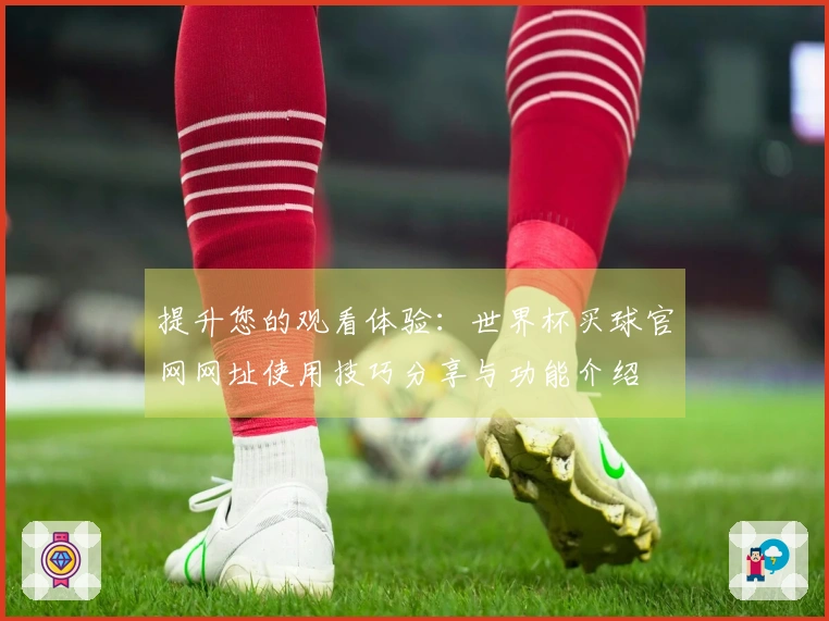 提升您的观看体验：世界杯买球官网网址使用技巧分享与功能介绍