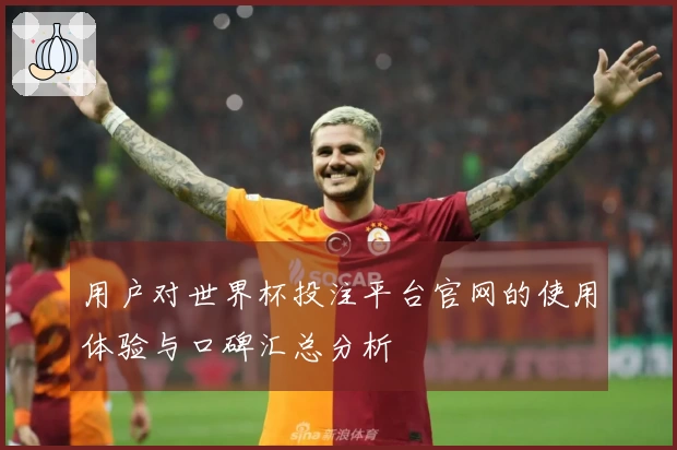 用户对世界杯投注平台官网的使用体验与口碑汇总分析