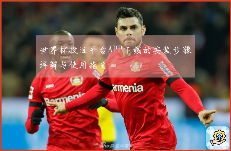 世界杯投注平台APP下载的安装步骤详解与使用指南