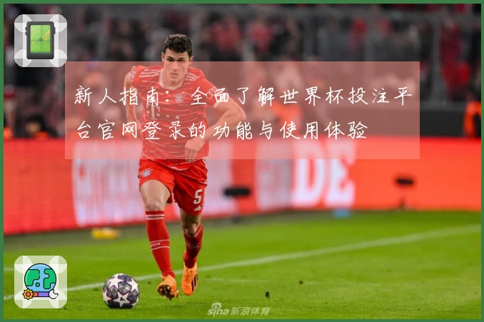 新人指南：全面了解世界杯投注平台官网登录的功能与使用体验