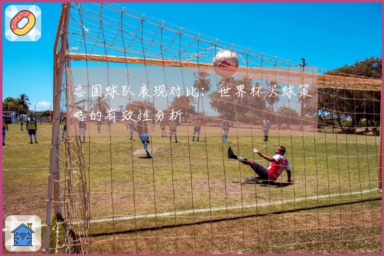 各国球队表现对比：世界杯买球策略的有效性分析