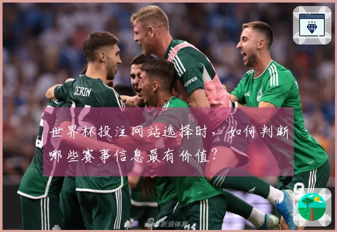 世界杯投注网站选择时，如何判断哪些赛事信息最有价值？