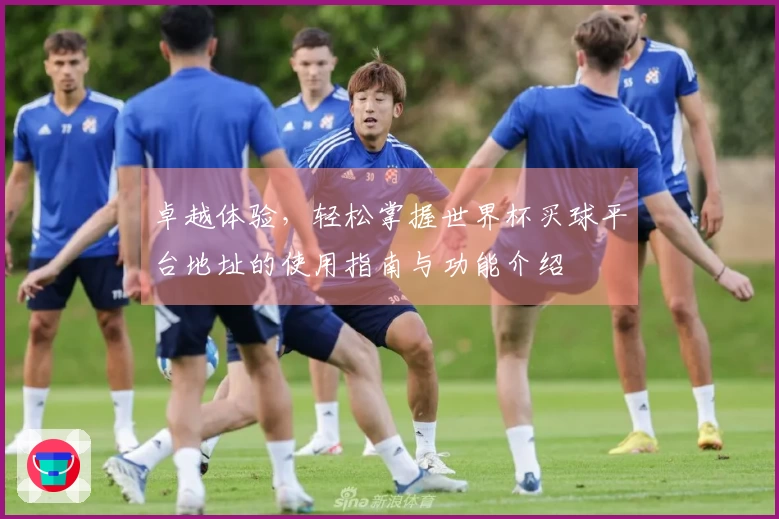 卓越体验，轻松掌握世界杯买球平台地址的使用指南与功能介绍