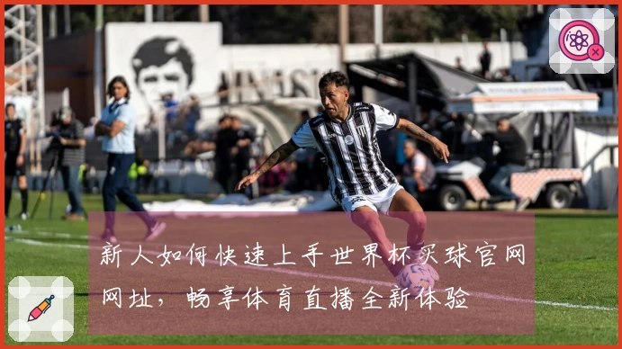 新人如何快速上手世界杯买球官网网址，畅享体育直播全新体验