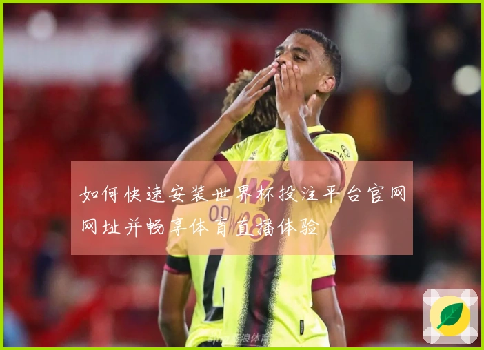 如何快速安装世界杯投注平台官网网址并畅享体育直播体验