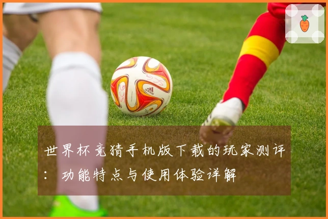 世界杯竞猜手机版下载的玩家测评：功能特点与使用体验详解