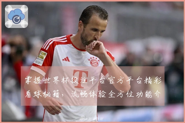 掌握世界杯投注平台官方平台精彩看球秘籍，流畅体验全方位功能介绍