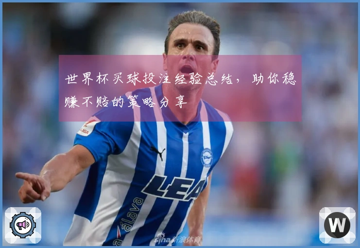 世界杯买球投注经验总结，助你稳赚不赔的策略分享