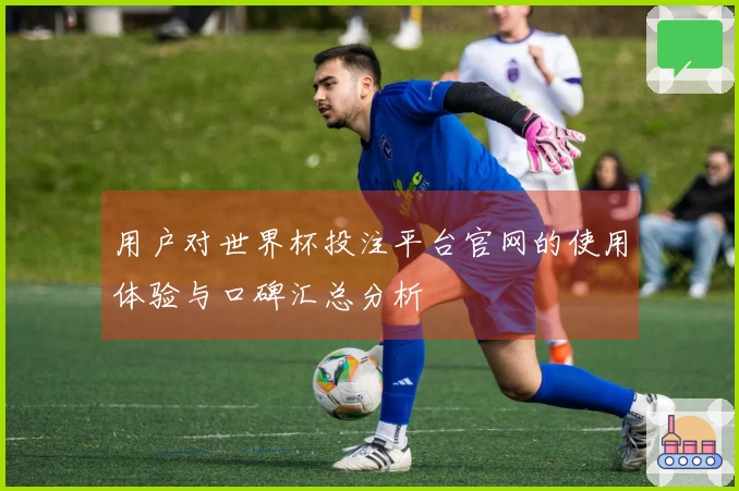 用户对世界杯投注平台官网的使用体验与口碑汇总分析