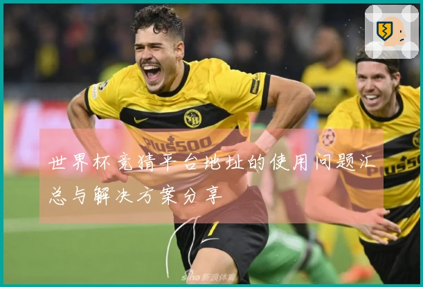世界杯竞猜平台地址的使用问题汇总与解决方案分享